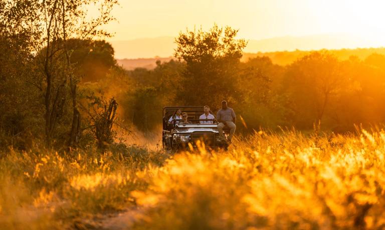 Home Hero Safari Game Drive Sunset Background Safari sunset background