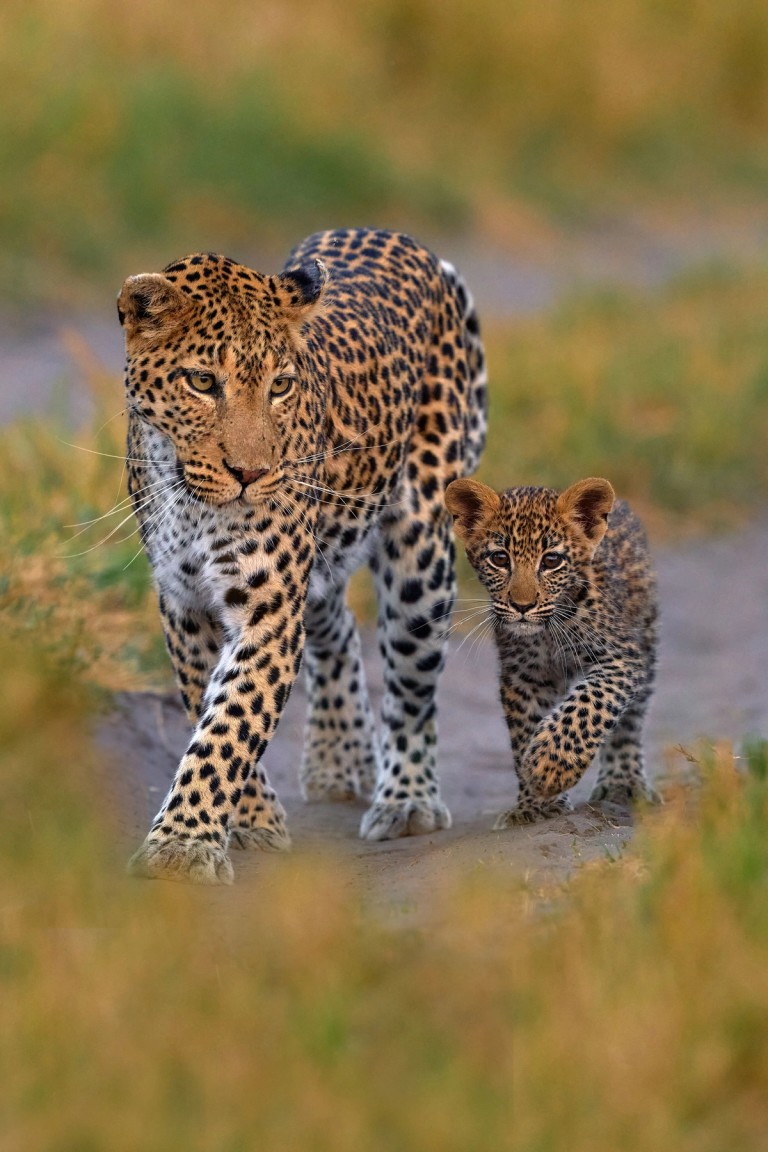 Botswana